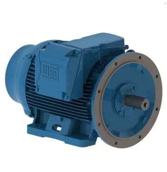 Conserto de Motor Elétrico Trifásico em São Paulo